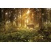 Фотообои Лесной олень DECOCODE 32-0006-PG (300х200см) — купить в Рославле: цена за штуку, характеристики, фото