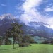 Декоративное панно Альпийский луг 294х201  (9 листов) — купить в Рославле: цена за штуку, характеристики, фото