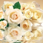 Декоративное панно VIP Белые розы 294х260 (12л) 