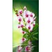 Купить Декоративное панно VIP Орхидея 261х134 (6л)  в Рославле в Интернет-магазине Remont Doma