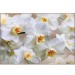 Купить Декоративное панно Белая орхидея 196х134 (4 листа) в Рославле в Интернет-магазине Remont Doma