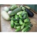 Купить Удобрение Агровита для огурцов  и кабачков 100г в Рославле в Интернет-магазине Remont Doma