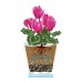 Купить Горшок цветочный для орхидеи "Лея" 5 литров (с автополивом)(прозрачный)  в Рославле в Интернет-магазине Remont Doma