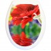 Сиденье жесткое с рисунком "Красная гербера" 1/10, цена – купить в Рославле